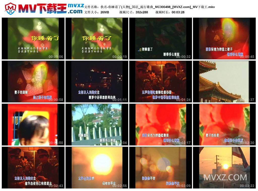 佚名-你睡着了(人物)_国语_流行歌曲_MC300498